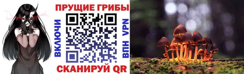 Псилоцибиновые грибы Psilocybine cubensis  сколько стоит  Саранск 